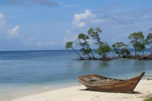 7 Days 6 Nights Andaman Tour Package by Burning Desire Travels