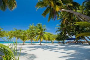 Experience 5 Days 4 Nights Adventure in Maafushi Tour Package by Zaha Travels