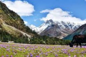 5night 6 days Gangtok,Lachen & Lachung tour