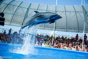 Dolphinarium Riviera