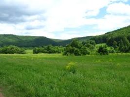 The Zhiguli Mountains