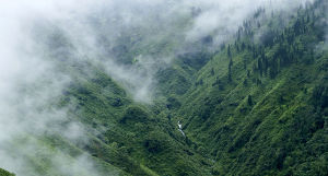 MYSORE COORG GOKARNA