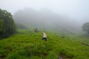 2 Days 1 Nights chikkamagaluru Tour Package