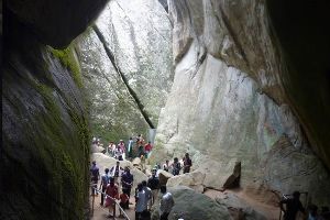 coorg wayanad ooty kodaikanal