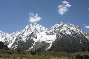 6 Days 5 Nights Srinagar Tour Package by MyTripVacations.Com
