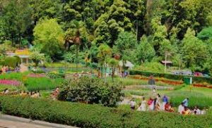 7 Days 6 Nights Mysore Ooty Kodaikanal Tour Package