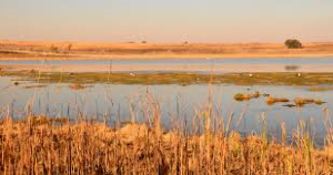 Glen Austin Bird Sanctuary