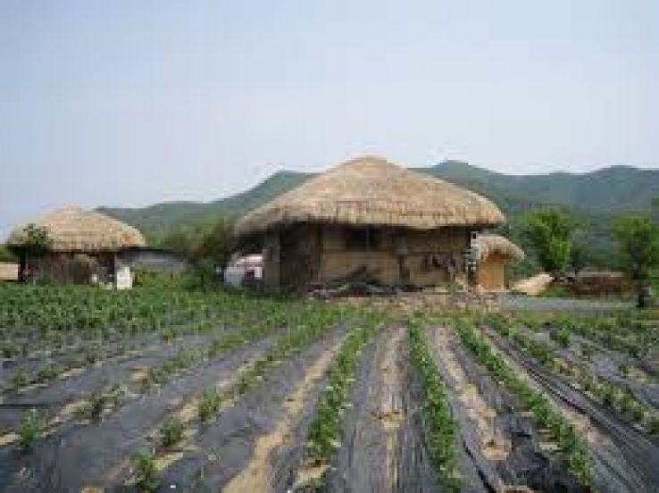 Hahoe Folk Village Trip Packages