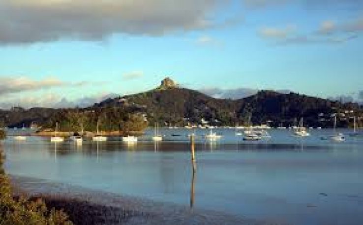 Whangaroa Harbour Trip Packages