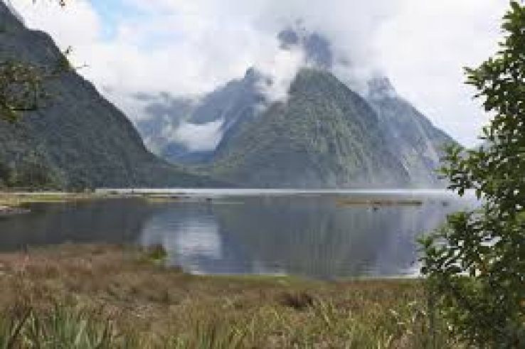 Waikanae Estuary Scientific Reserve Trip Packages