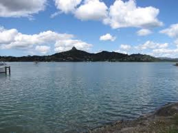 Whangaroa Harbour Trip Packages