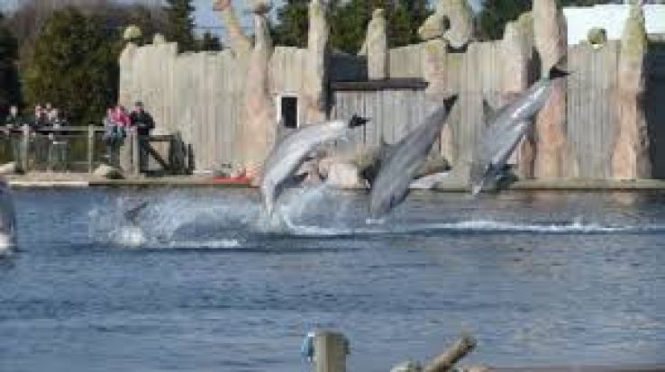 Dolfinarium Trip Packages