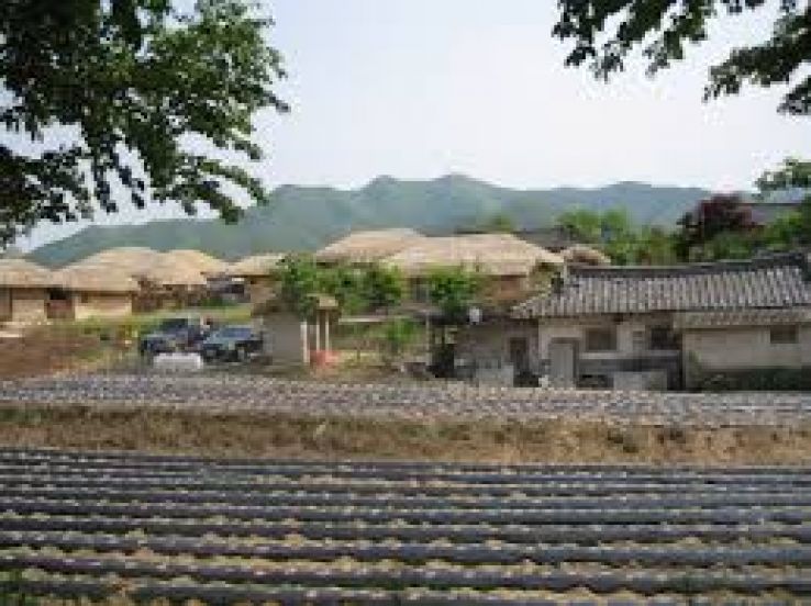 Hahoe Folk Village Trip Packages