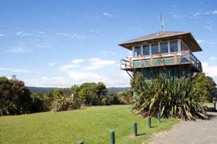 Waipoua Forest Trip Packages