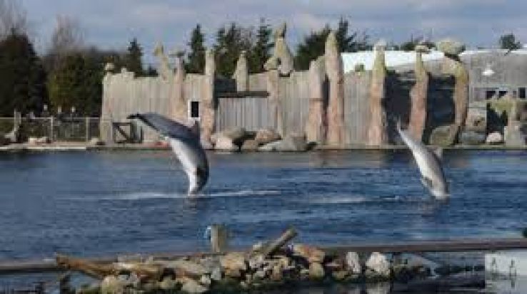 Dolfinarium Trip Packages