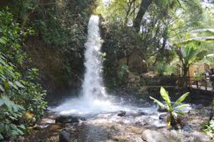 Barranca del Cupatitzio National Park Trip Packages