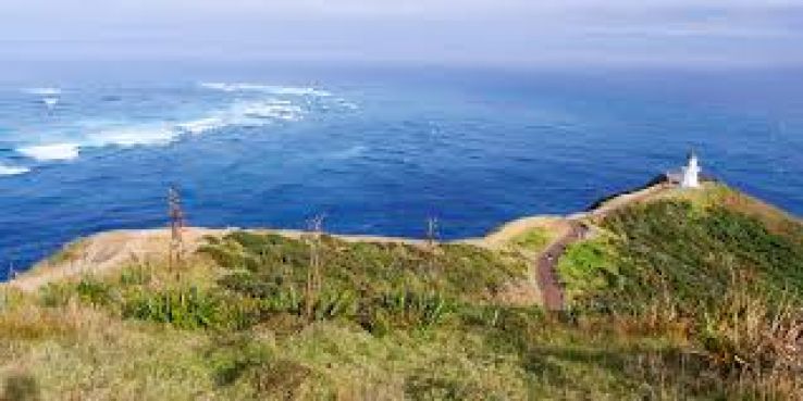 Cape Reinga Lighthouse Trip Packages