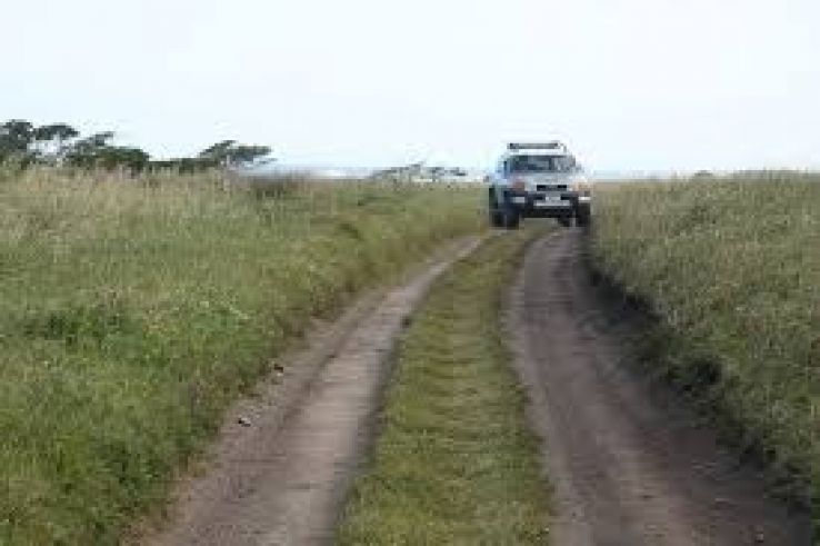 Cape Egmont Lighthouse Trip Packages