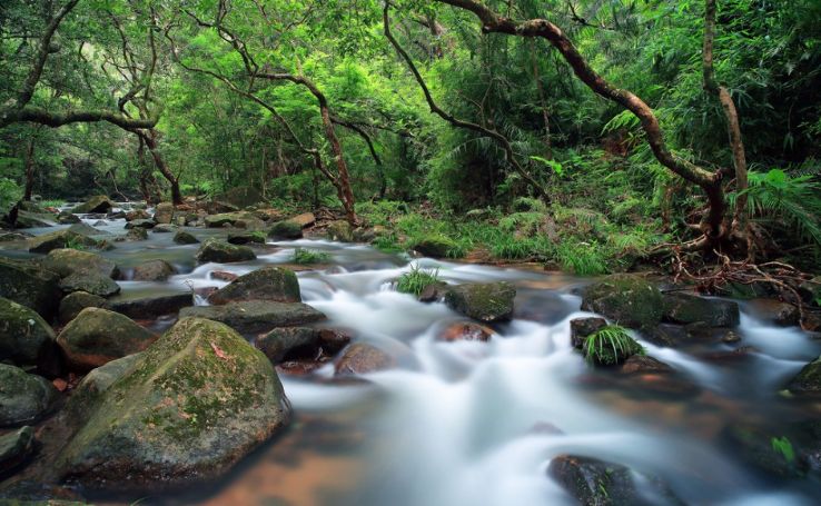 Tai Po Kau Nature Reserve Trip Packages