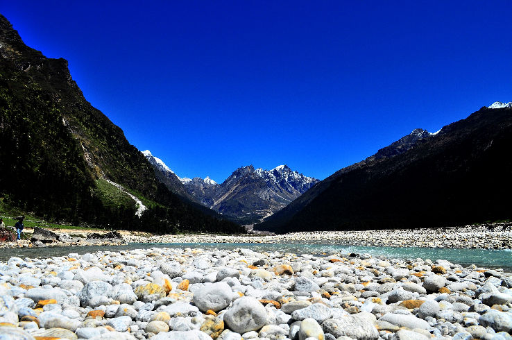 Yumthang Valley of Flowers 2021, #1 top things to do in ...