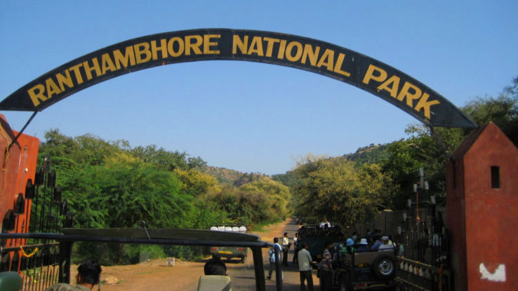 Ranthambore National Park  Trip Packages