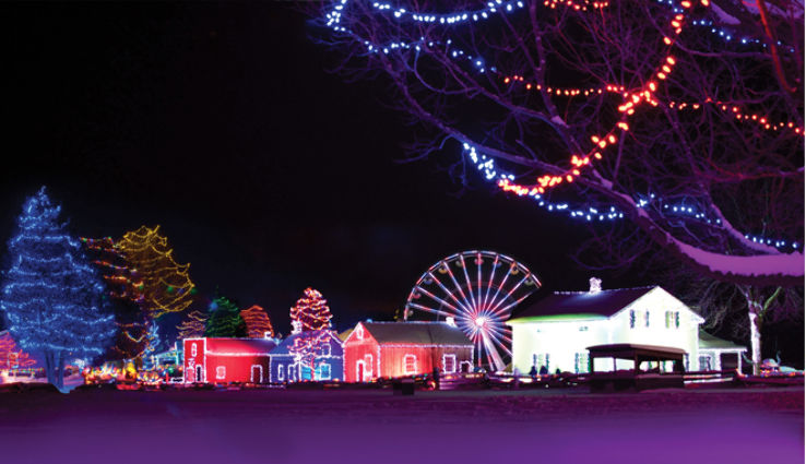 Ontario Power Generation Winter Festival Of The Lights  Trip Packages