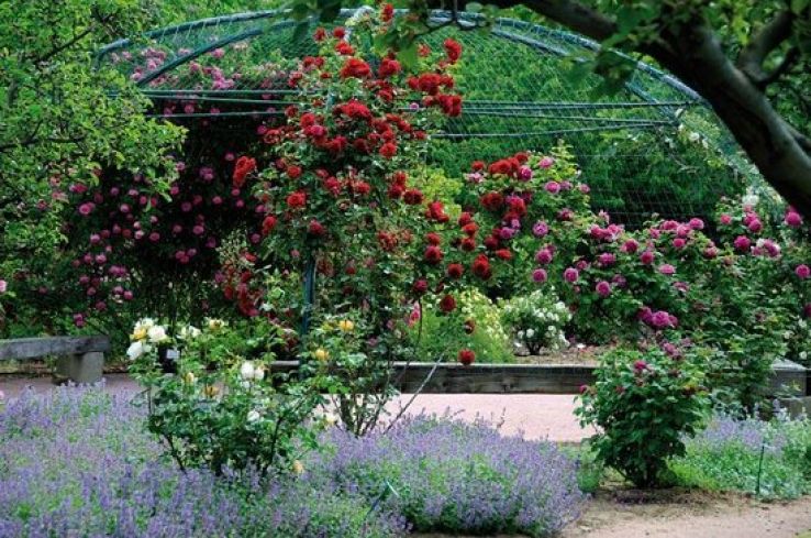 Jardin aux Plantes la Bouichere Trip Packages