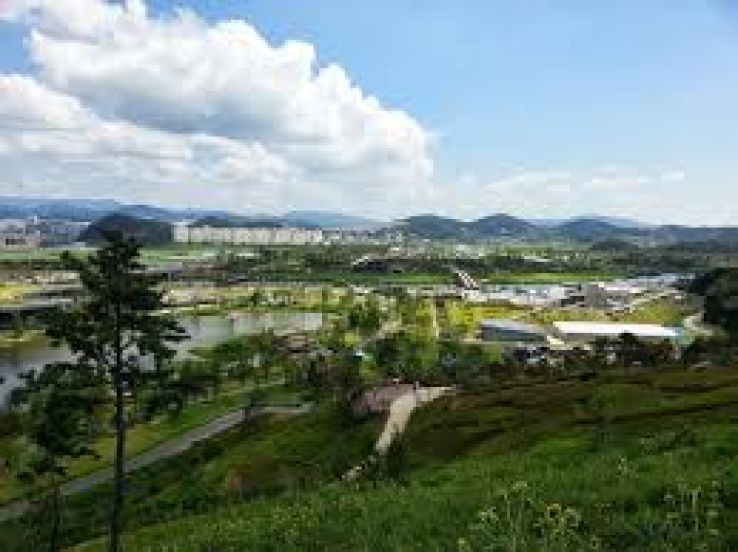 Suncheon Bay National Garden Trip Packages