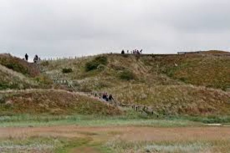 Dunes of Texel National Park Trip Packages