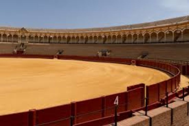 Real Maestranza Bull Ring and Bullfighting Museum  Trip Packages