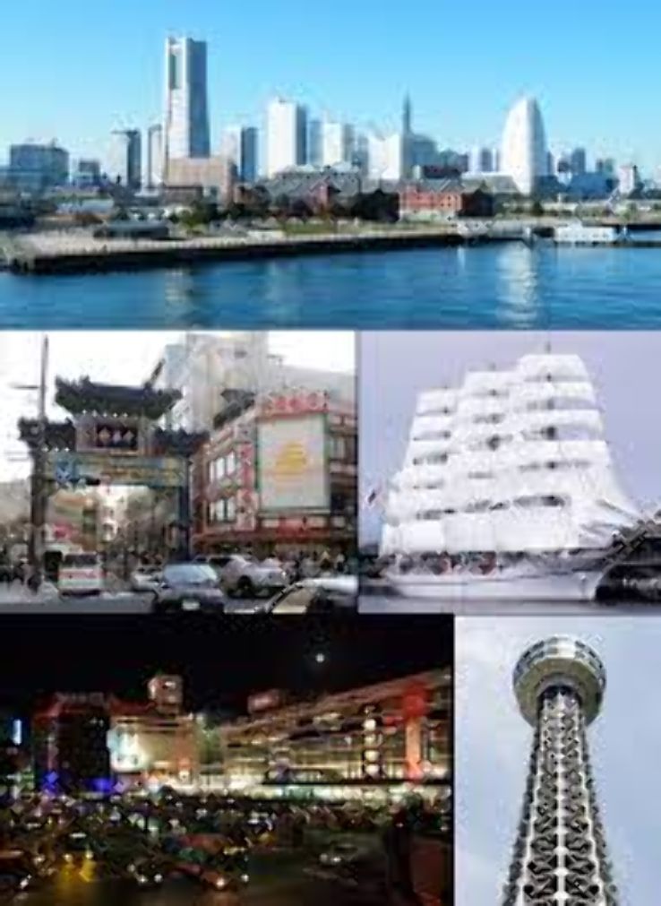  Nippon Maru Trip Packages