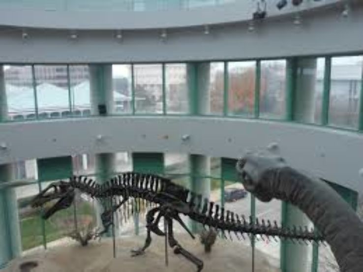 North Carolina Museum of Natural Sciences  Trip Packages