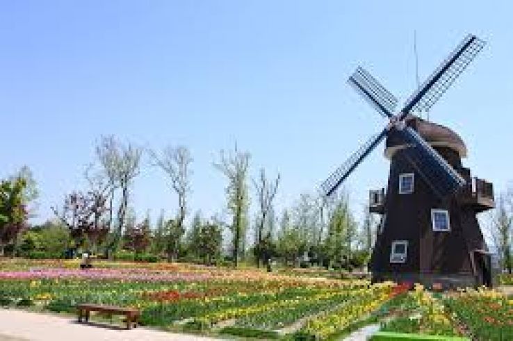 Suncheon Bay National Garden Trip Packages