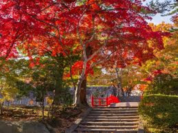 Morioka Castle Trip Packages