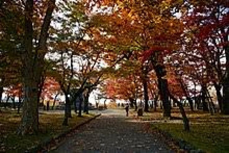 Morioka Castle Trip Packages