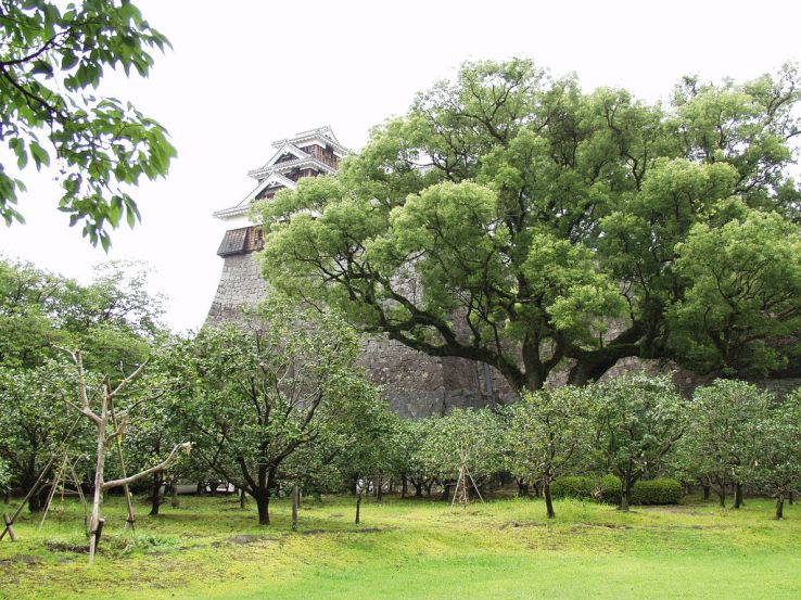 Kumamoto Castle Trip Packages