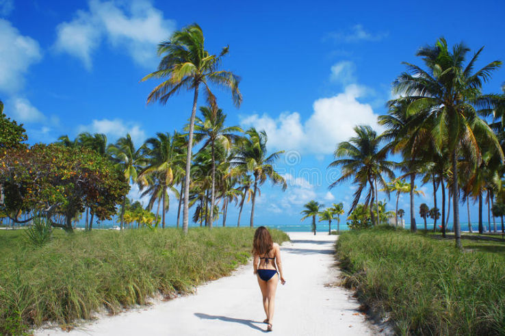 Key Biscayne and Crandon Park Trip Packages