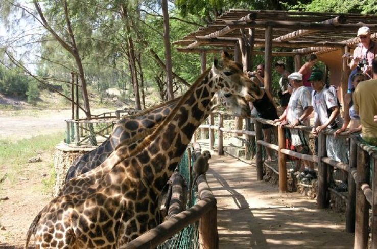 Haller Park Trip Packages