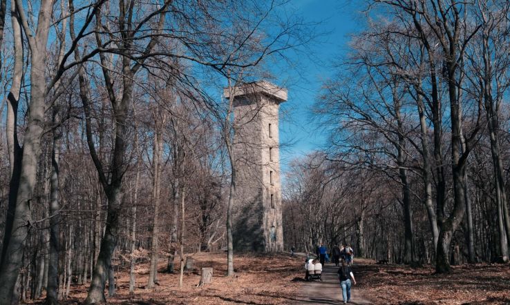 Lainzer Tiergarten Trip Packages