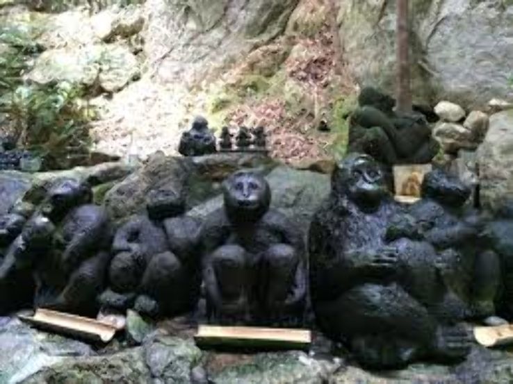 Niiyama Shrine Trip Packages