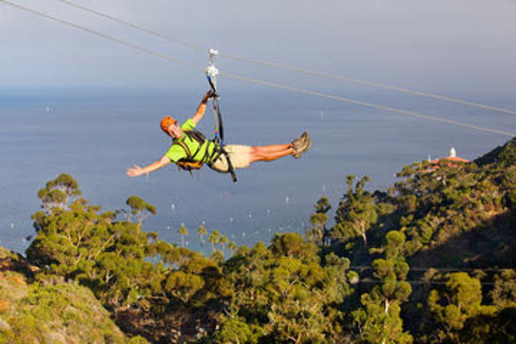 Catalina Island Zip Line Eco Tour Trip Packages