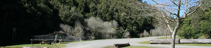 Maungakawa Scenic Reserve   Trip Packages