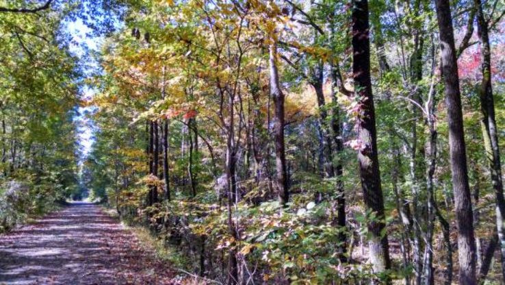 Thacker Mountain Rail-Trail Trip Packages