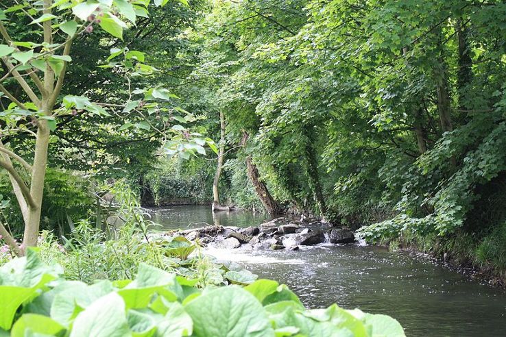 National Botanic Gardens of Ireland Trip Packages