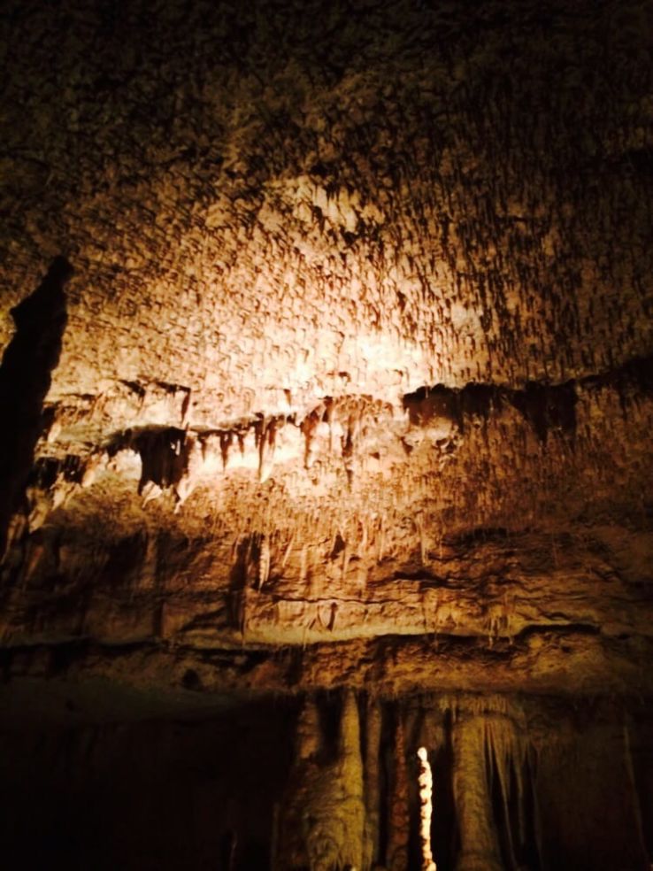 Natural Bridge Caverns Trip Packages