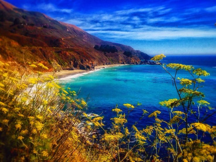  Highway 1 and Big Sur Trip Packages