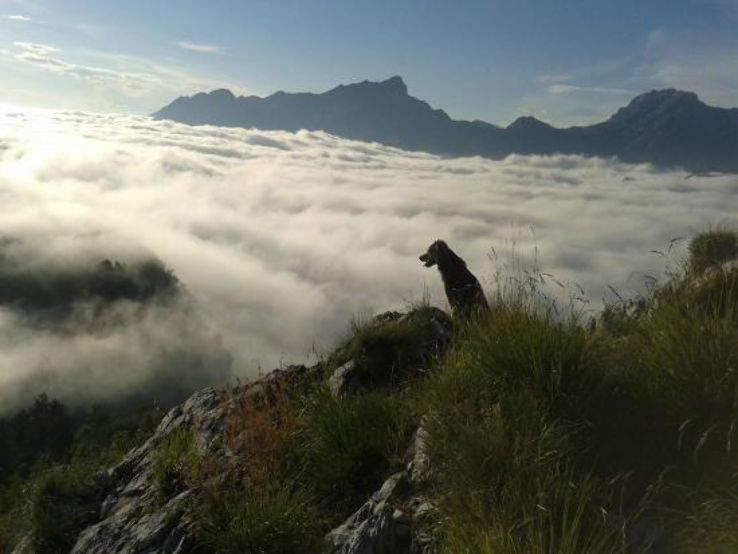 Orto Botanico delle Alpi Apuane Pietro Pellegrini Trip Packages