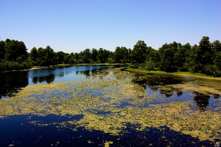 Lettuce Lake Park Trip Packages