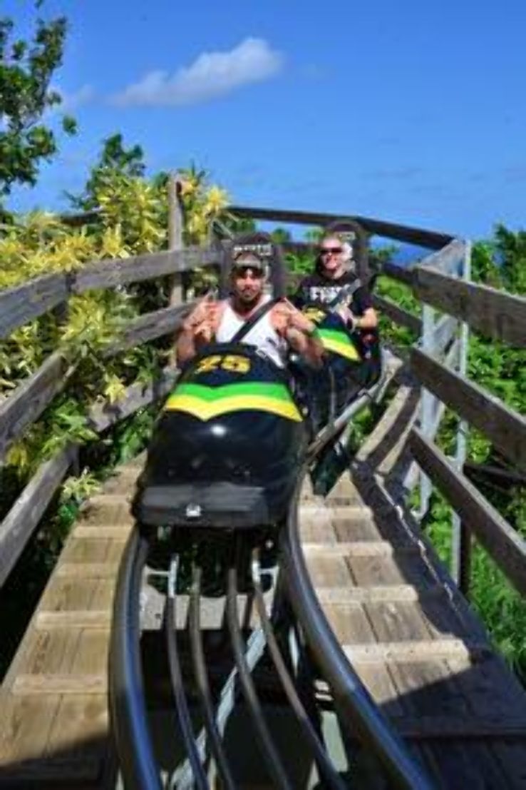 Rainforest Adventures Mystic Mountain in kingston Jamaica