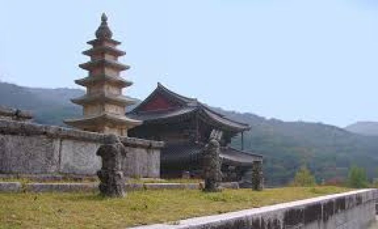 Geumsansa Temple Trip Packages